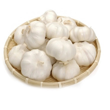 Fresh Pure White Normal White Purple White garlic supplier in China